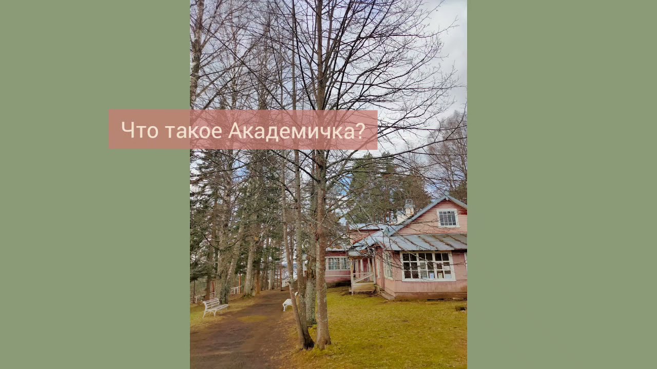 Что такое Академичка? Куда поехать художнику?