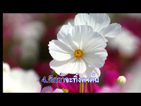 358เพลงดอกไม้ใกล้มือKaraokeHD