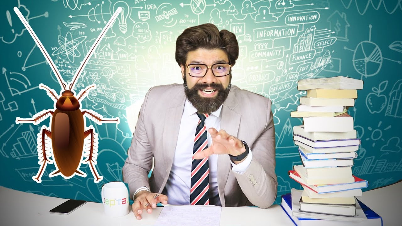 Business Lessons From COCKROACH— Best Entrepreneur Inspirational Video ...