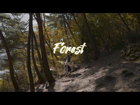 The Forest / Cinematic / Lumix S5, Sigma lens