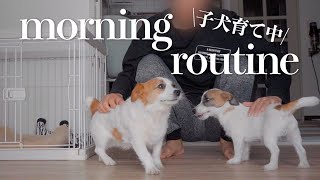 Morning routine of a big brother who is working hard to raise puppies