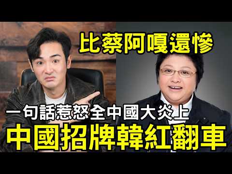 韓紅人設翻車！比蔡阿嘎還慘，一句「走個面兒」惹怒全中國，馮小剛「抓特務」票房撲街，繼吳京後愛國明星接連崩潰