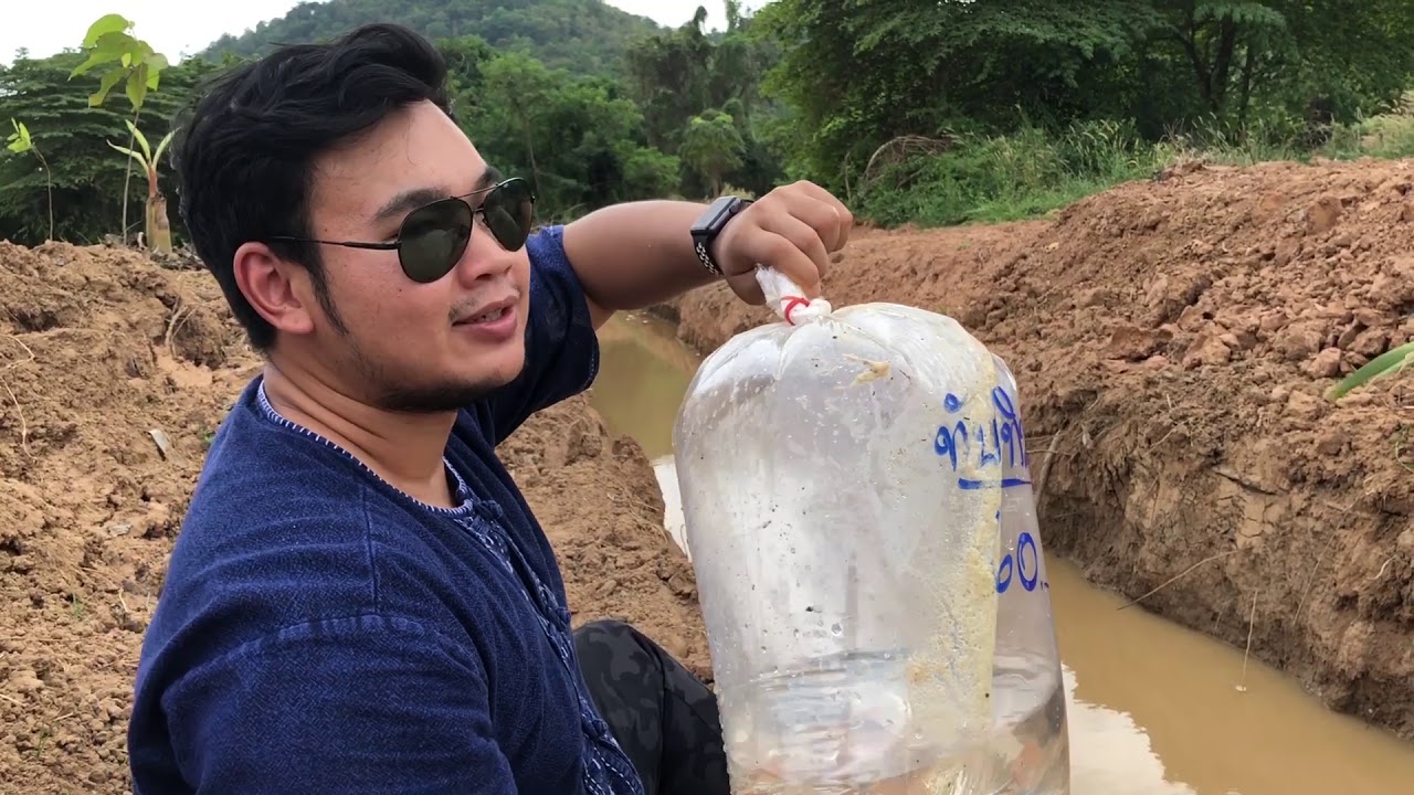 เลี้ยงปลาในบ่อดิน ปล่อยปลานิล ปลาทับทิม ปลาบึก ในบ่อดินที่ขุดไว้ | หมีลุยสวน Ep.7