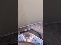 Fishing Gone Wrong (@foreshadow.meme)