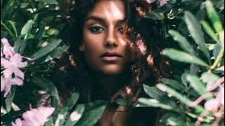 Salomond Island - Die Naya ( Alkam Rmx)  Jump - Lagu Acara Terbaruh 2k22