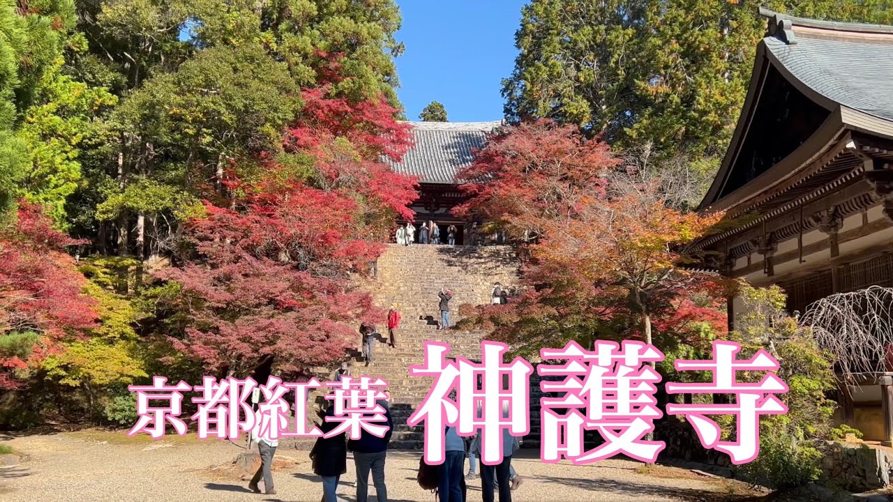 21年11月13日 土 京都高雄 秋深し紅葉の神護寺を散策 Walking Around Jingoji Temple 4k Youtube 21年11月13日 土 京都高雄 秋深し紅葉の神護寺を散策 Walking Around Jingoji Temple 4k Youtube