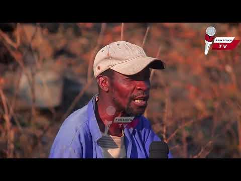 Mvurwi Vakachera Guva Remurungu Akafa 1965 Ndokusiya Mabondo Panze Foryou Trending Viral 