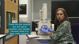 Chapter 1   Microscope overview and controls v2 NM