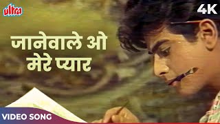 Janewale O Mere Pyar Video Song | Asha Bhosle | V Shantaram | Geet Gaya Patharon Ne Songs
