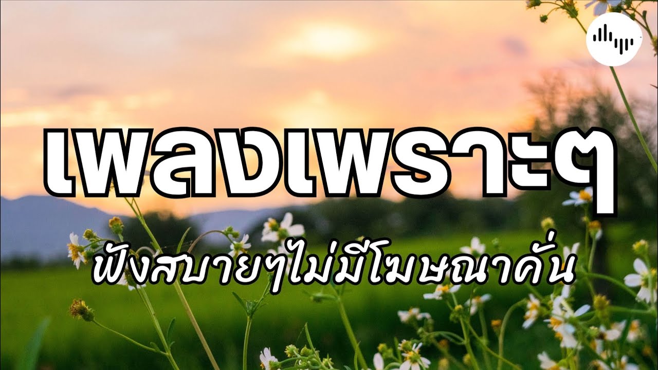 เพลงเพราะๆ รวมเพลงเพราะๆฟังสบายๆ เพลงฮีลใจ เพลงชิลๆ เพลงใหม่ chill song , cozy & relaxing music 