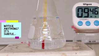 Thermal Expansion Time-Lapse Demonstration