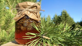 Варенье из сосновых шишек🌲