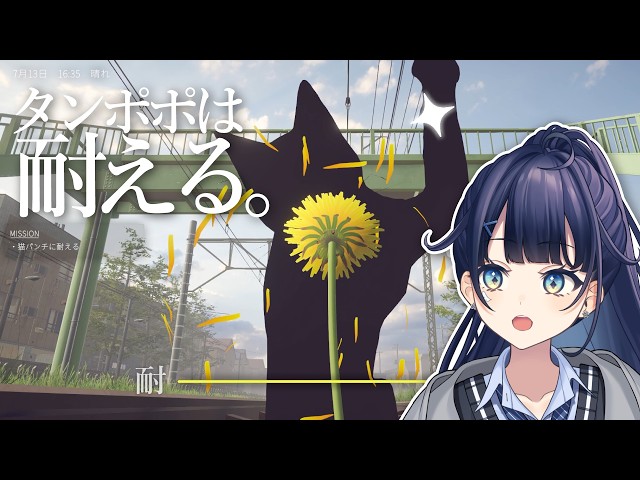【