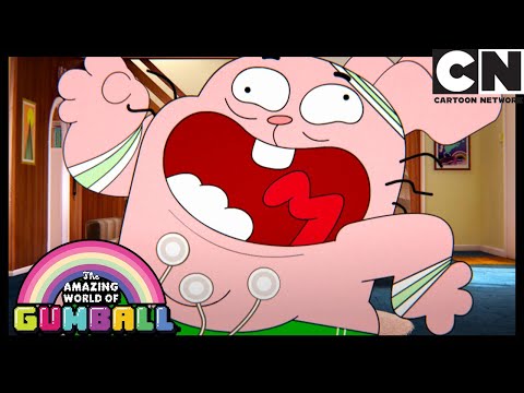 Who Broke Mr Robinson's Car? | Gumball | Cartoon Network