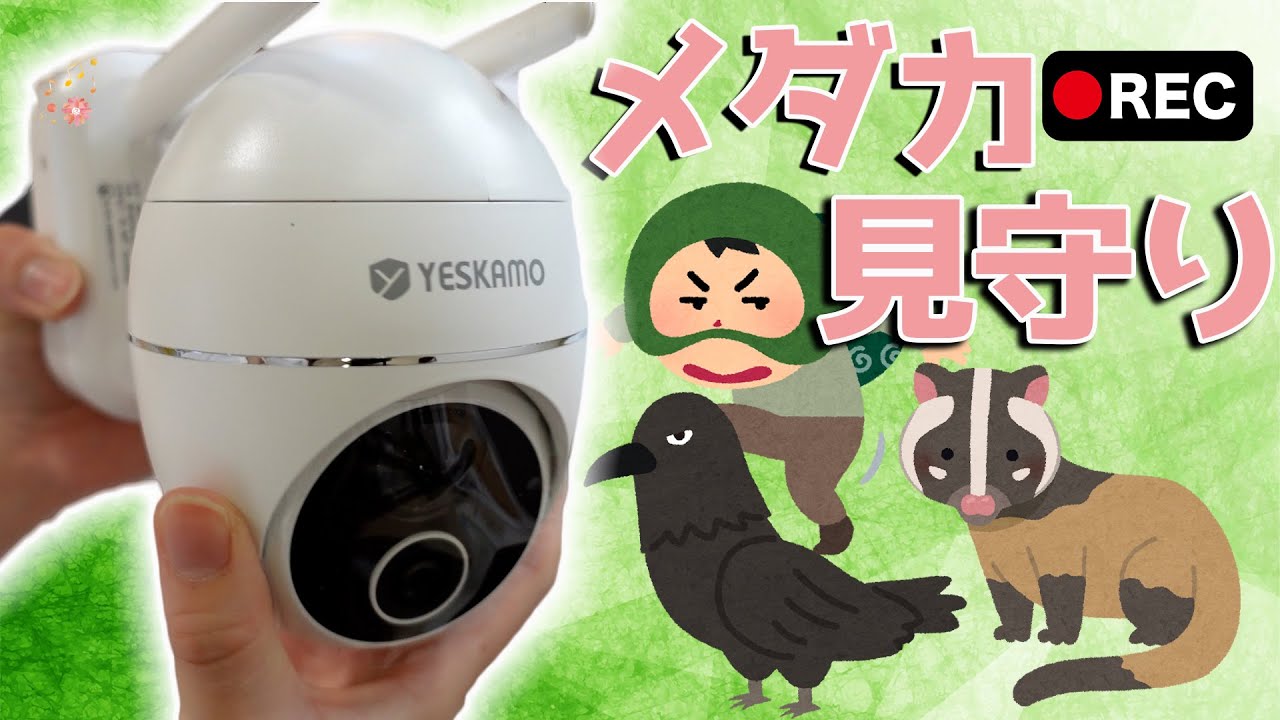 メダカとバイクを2021年最新！防犯カメラで見守るよ！スマホ・ソーラー