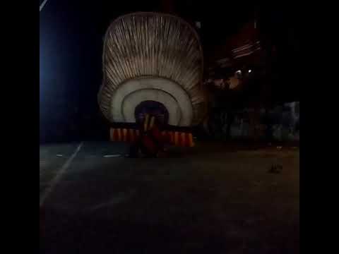 Kesenian reog wahyu riski budoyo