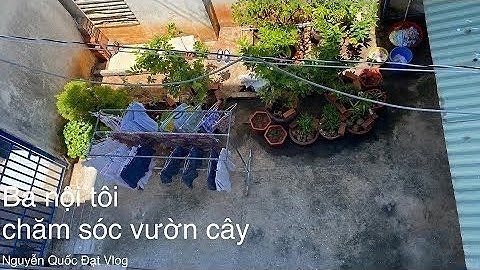 Nguyễn Quốc Đạt Vlog | Bà nội tôi chăm sóc vườn cây