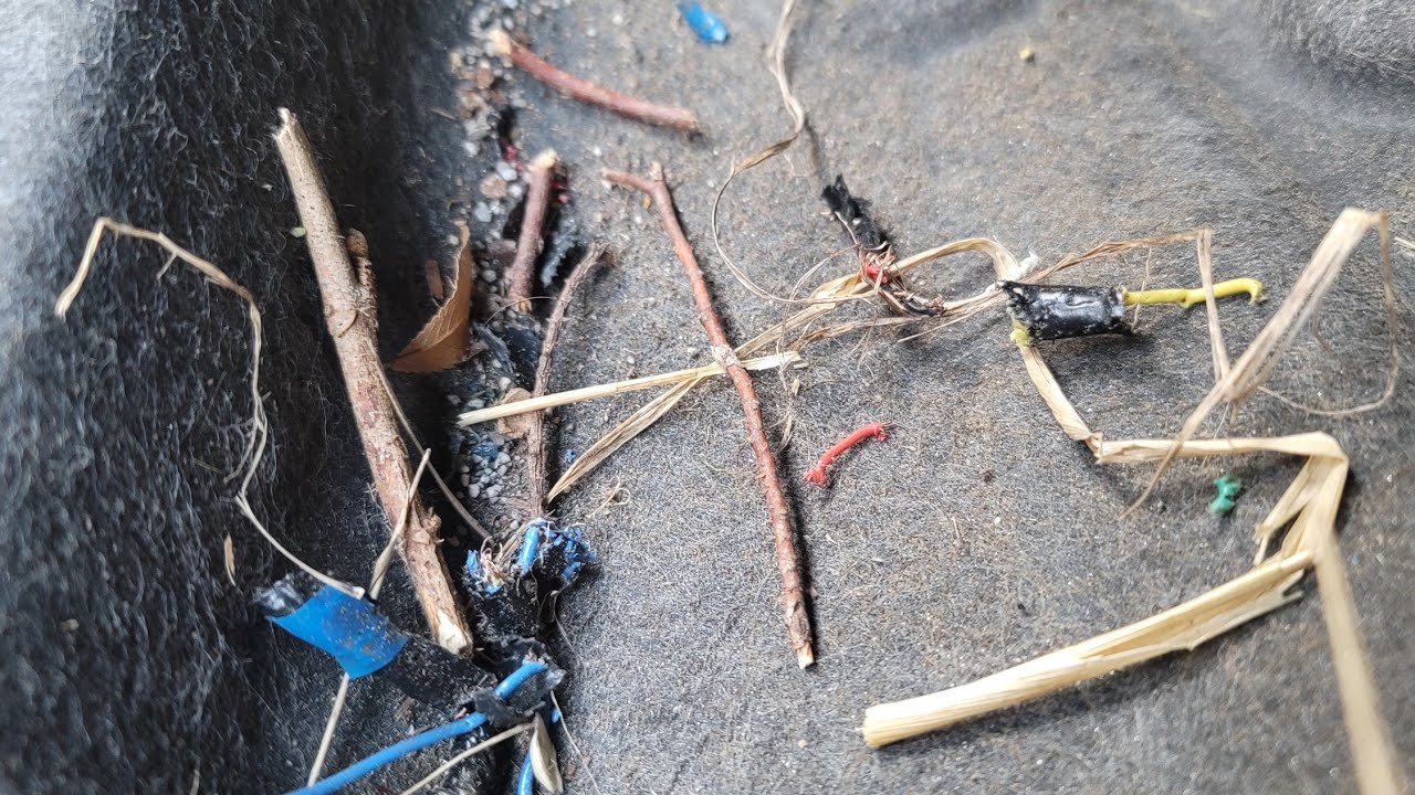 Honda HR-V 2022 года выпуска, куча кодов ошибок — НЕТ реакции дроссельной заслонки