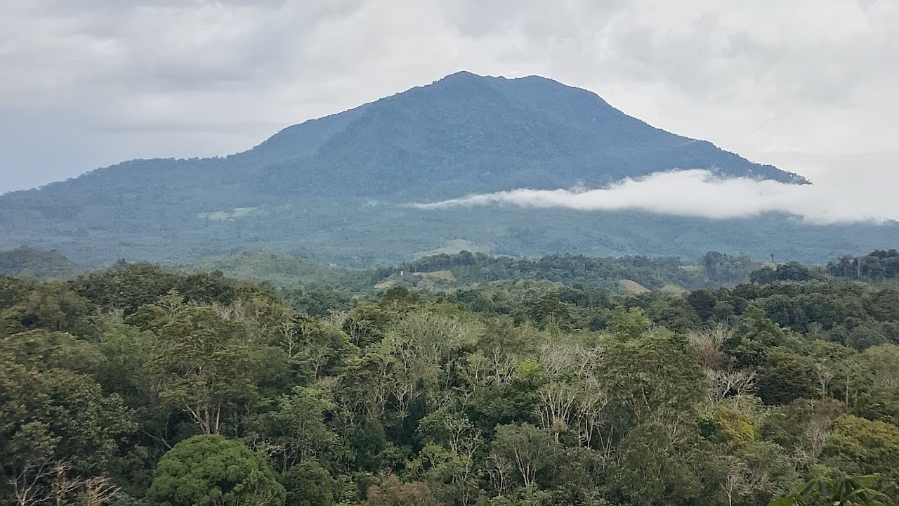 Camping 24 jam dihutan Kalimantan,nembak ikan dan berpetualang