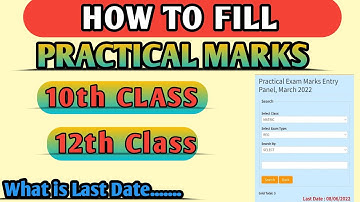 How to Fill Practical Marks of 10th 12th class on PSEB | Practical marks entry on pseb | term 2 exam