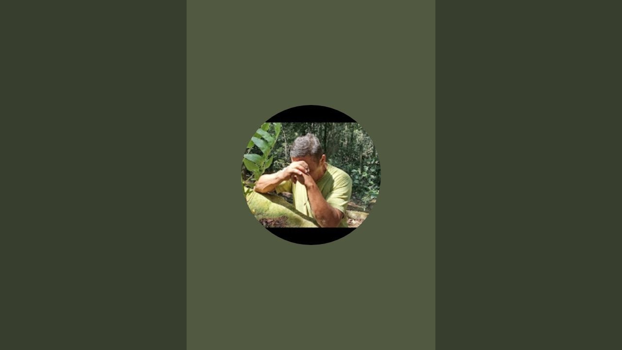 Canal papo direto  está ao vivo!