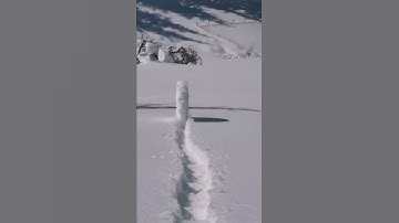 Snowball Rolling Downhill Forms a Giant Wheel - 1288497