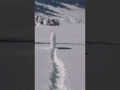 Snowball Rolling Downhill Forms a Giant Wheel - 1288497