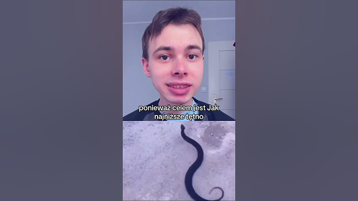 Co zrobić jak ugryzie cię Polski jadowity wąż #springonyoutube