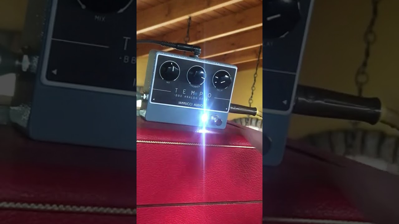 IANNUCCI AUDIO BBD ANALOG DELAY