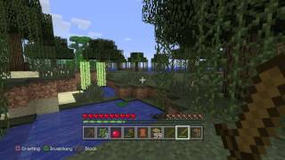 Minecraft: Survival [1]
