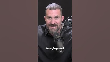 🎥 Andrew Huberman: The Purpose of the Dopamine System 🧠💡🧭