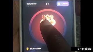 HAMSTER KOMBAT MORSE CODE DAY 5 Net Worth