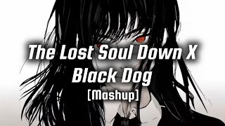 NBSPLV - The lost soul down X Black Dog [ Chainsaw Man Girls ] || [Mashup Tik Tok Version]