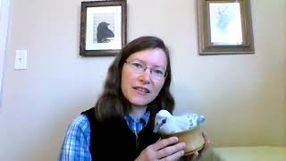 Nest is Best Episode 2: Types of Nests used by Birds in Our Area