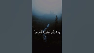 أفرءيتم الماء الذي تشربون | القارئ عادل ريان بارك الله فيه