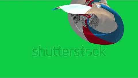 Russain armed force flag ribbon transitions loop green screen 4k