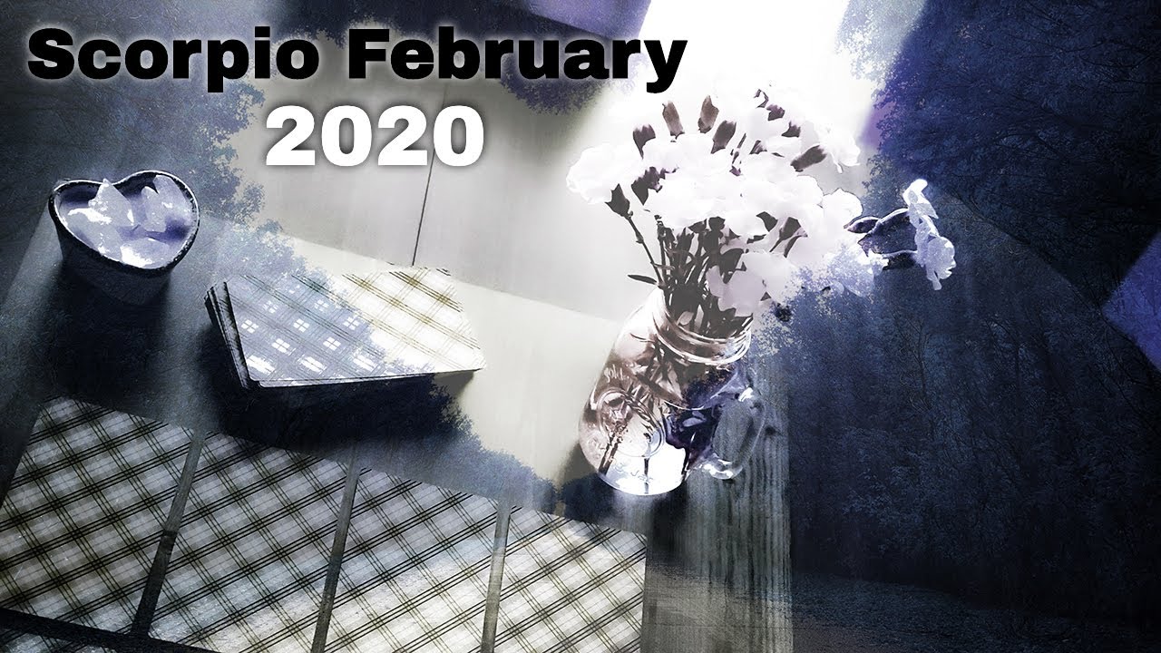 ☀️Scorpio February 2020 | Your Stories and Journeys