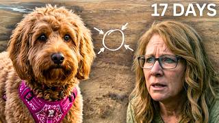 After 17 Days She Thought She'd Never See Her Dog Again - Then They Spotted This