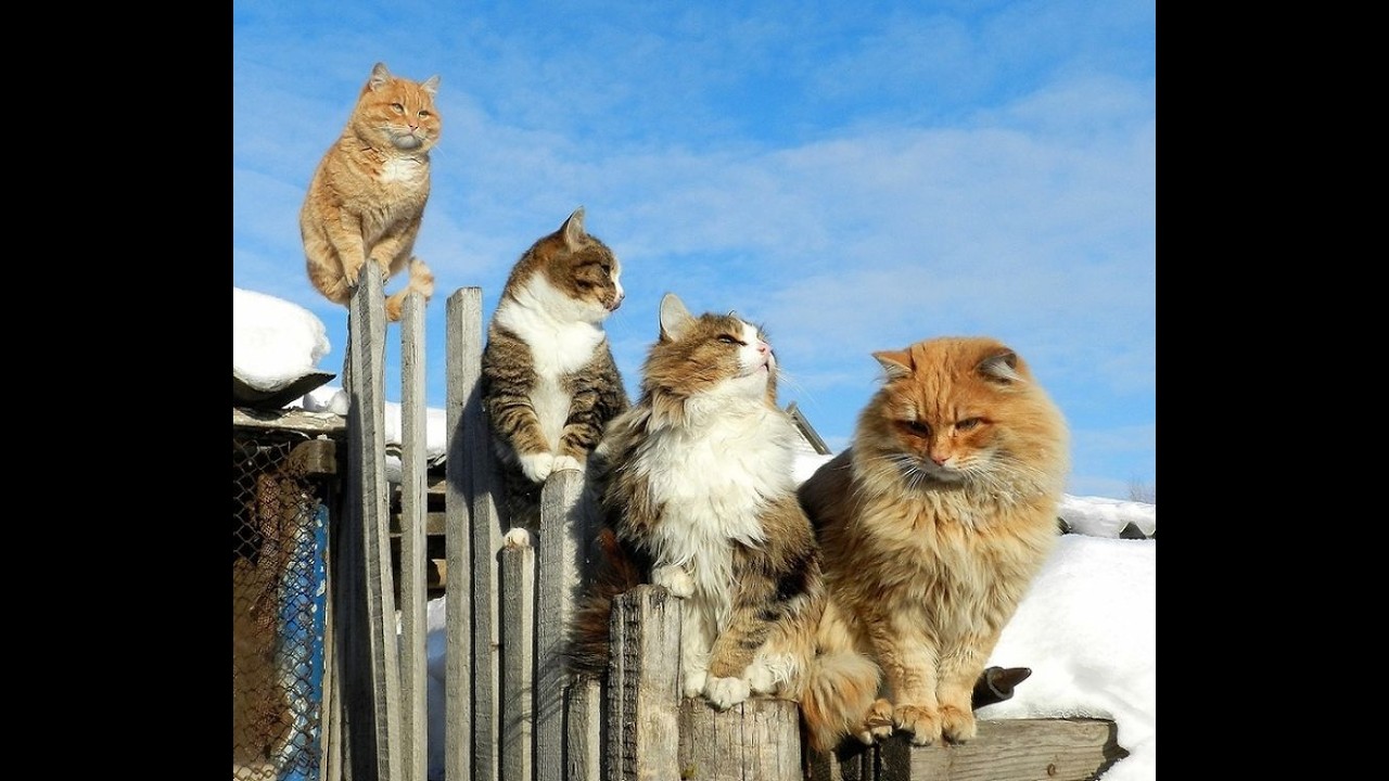 Hayatın Esiriyiz Radyo Tiyatrosu Arkası Yarın