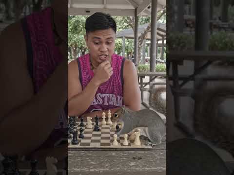 tutorial👨‍🏫📓 comment section👇👇👇