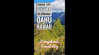 Hiking Up 3 Peaks at Olomana in Oahu Hawaii (parking tips)