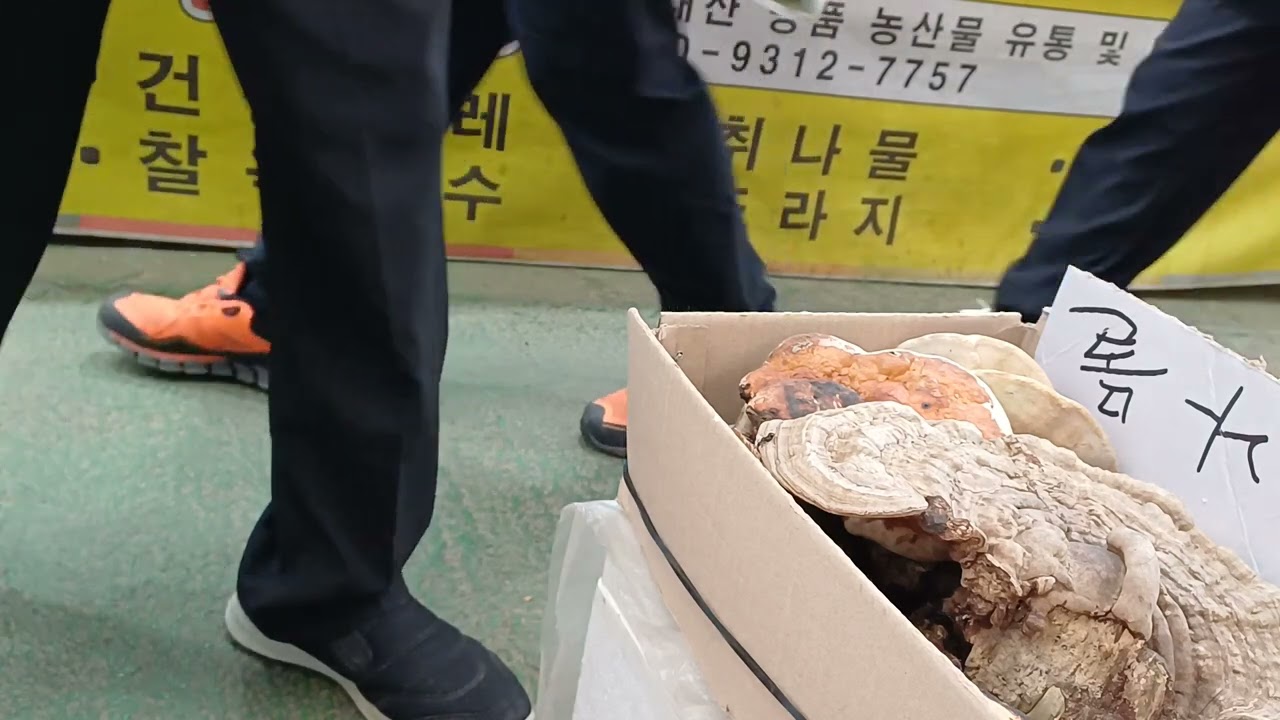 2025.5.22 어머나 정선5일장날 평일인데도 사람들이 엄청 많아서 복잡하네?