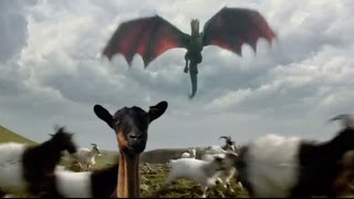 10 Amazing Things About Dragons