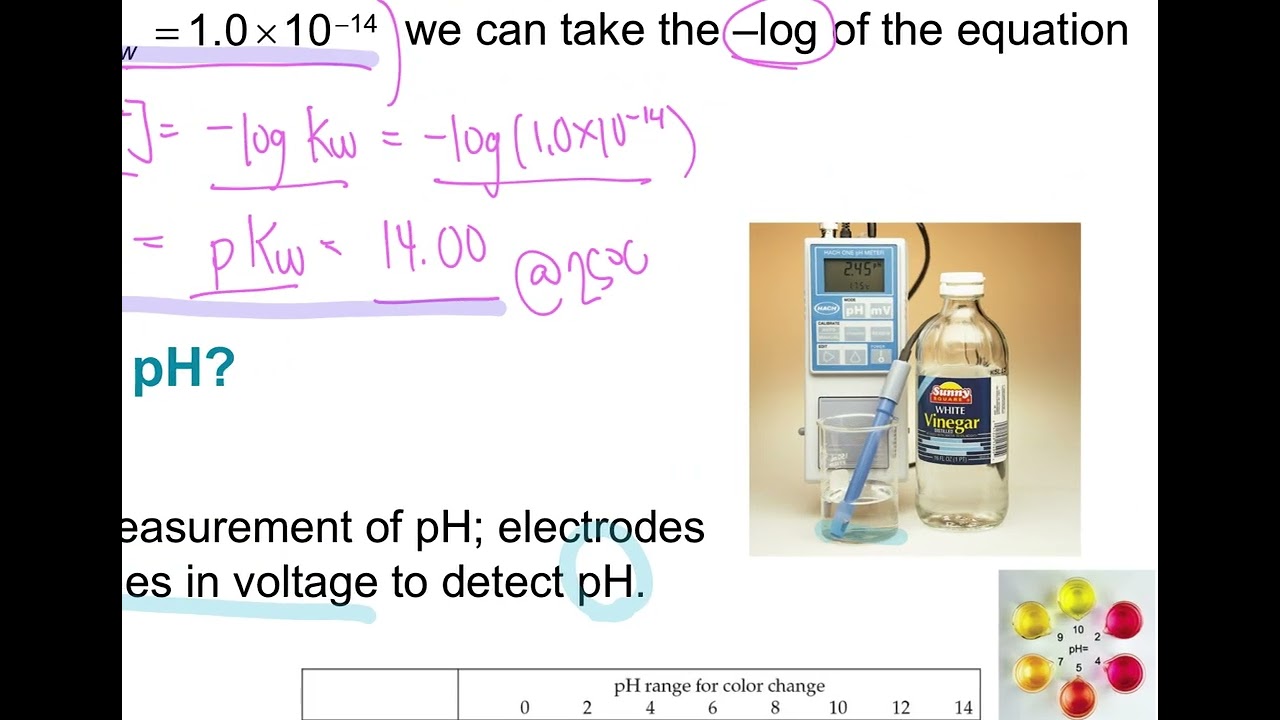 Chapter 16.4 Video - The pH Scale