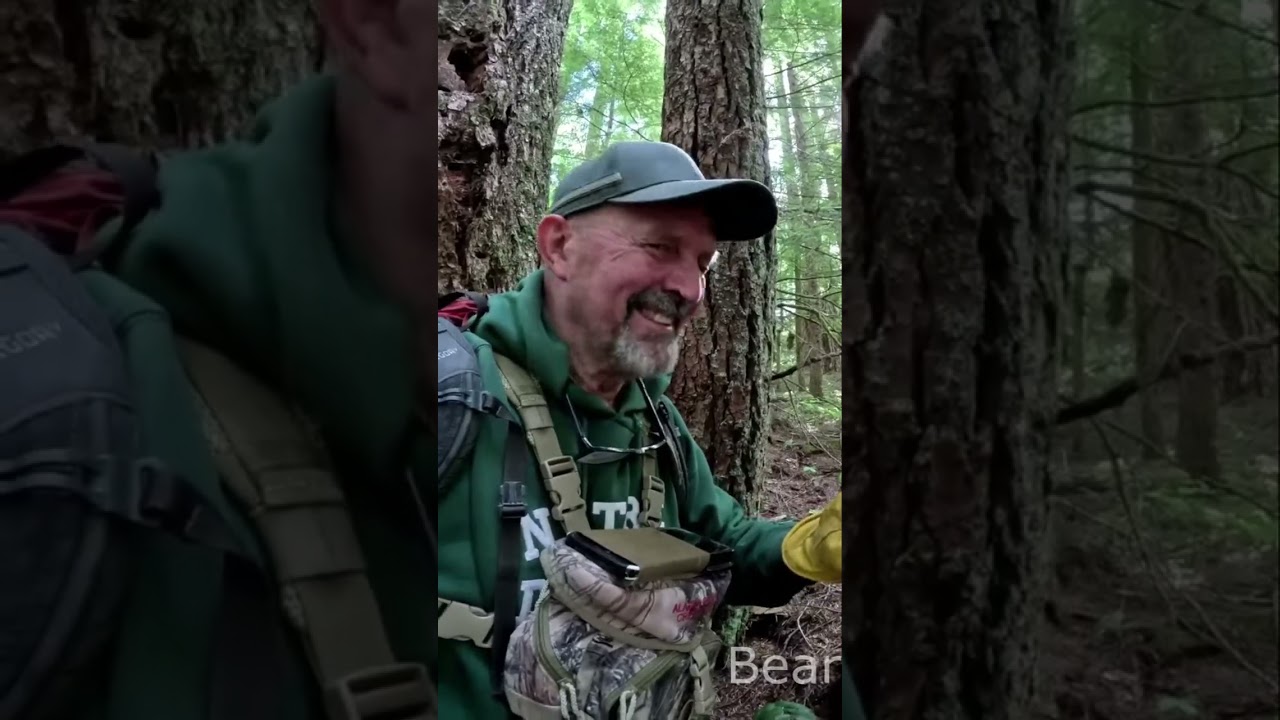 Amazing Edible Mushrooms You Can Find in the Woods!