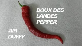 Doux des Landes Pepper (Refining Fire Chiles) | Afterburn Pod Review