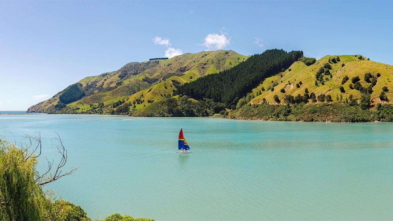 Best Airbnb New Zealand in Cable Bay Nelson YouTube