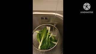 Who Wants My Noodles Pinay Mix Vlog