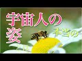 24【誰でも会える】宇宙人はいつも側にいた！？　地球で暮らすシリウス星人やプレアデス星人の思いがけない姿　ホログラムを使った宇宙人
