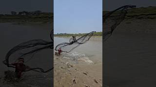 catch a big fish by castnet enjoy this videos. #shorts #fishing #fish #isshingvideo #villagelife